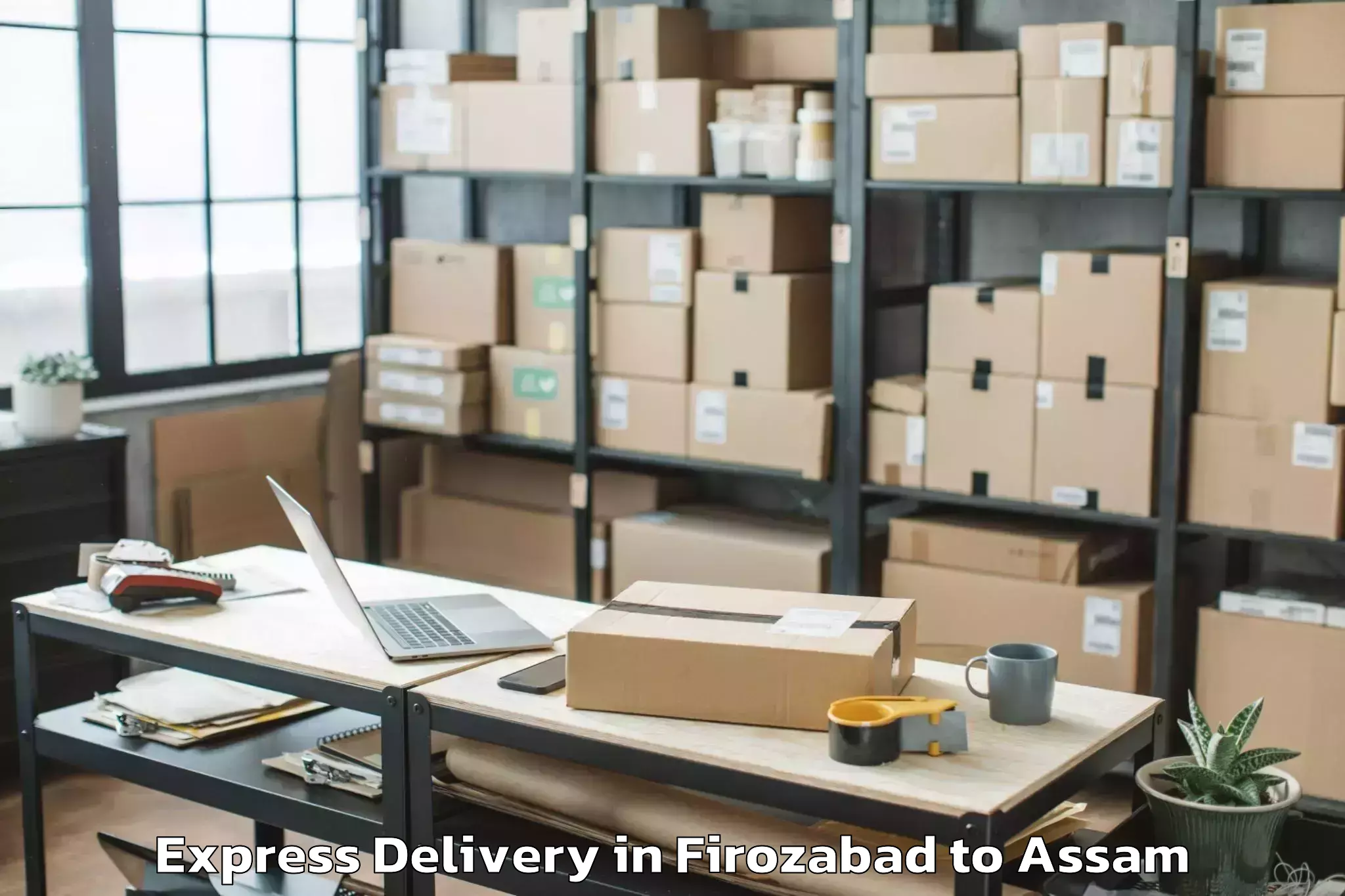 Professional Firozabad to Numaligarh Express Delivery